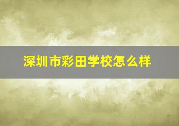 深圳市彩田学校怎么样