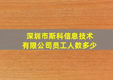 深圳市斯科信息技术有限公司员工人数多少