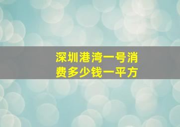 深圳港湾一号消费多少钱一平方