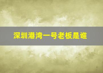 深圳港湾一号老板是谁