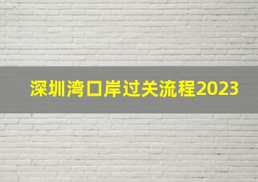 深圳湾口岸过关流程2023