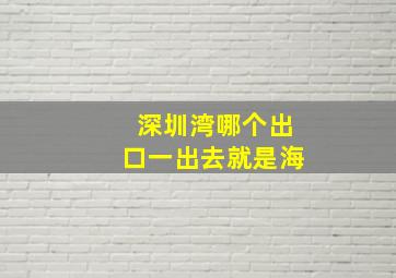 深圳湾哪个出口一出去就是海