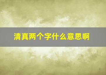 清真两个字什么意思啊