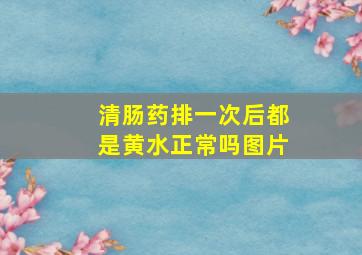 清肠药排一次后都是黄水正常吗图片