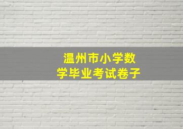 温州市小学数学毕业考试卷子