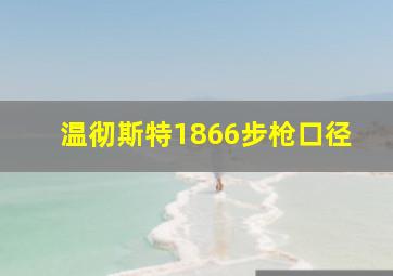 温彻斯特1866步枪口径