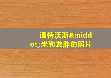 温特沃斯·米勒发胖的照片