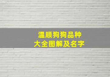 温顺狗狗品种大全图解及名字