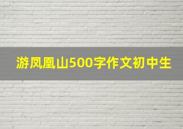 游凤凰山500字作文初中生