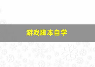 游戏脚本自学