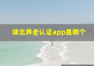 湖北养老认证app是哪个