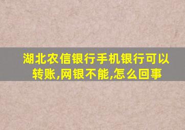 湖北农信银行手机银行可以转账,网银不能,怎么回事