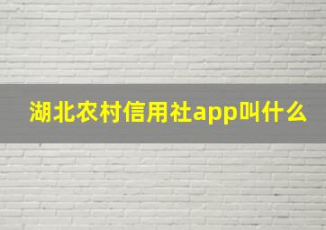 湖北农村信用社app叫什么