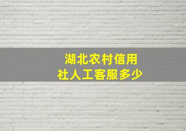 湖北农村信用社人工客服多少