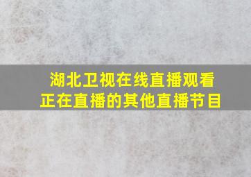 湖北卫视在线直播观看正在直播的其他直播节目