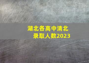 湖北各高中清北录取人数2023