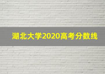 湖北大学2020高考分数线