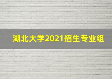 湖北大学2021招生专业组