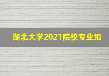 湖北大学2021院校专业组