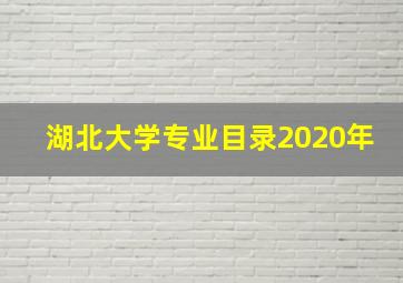 湖北大学专业目录2020年