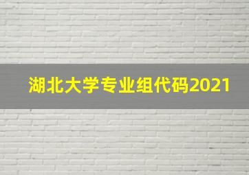 湖北大学专业组代码2021