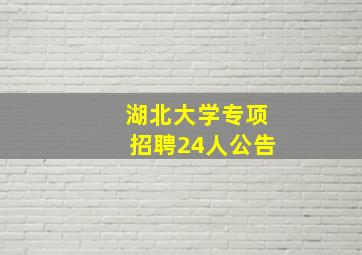 湖北大学专项招聘24人公告