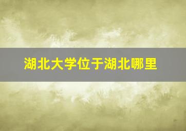 湖北大学位于湖北哪里