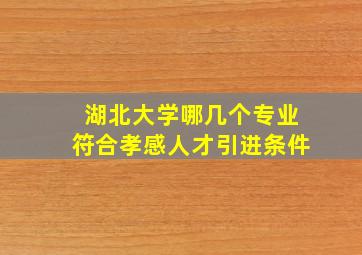 湖北大学哪几个专业符合孝感人才引进条件