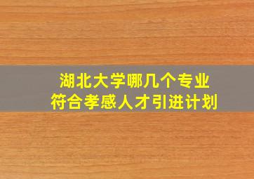 湖北大学哪几个专业符合孝感人才引进计划