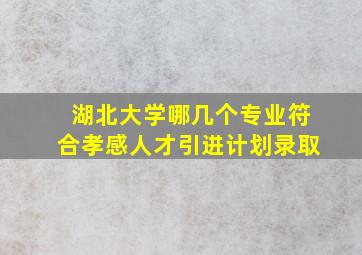 湖北大学哪几个专业符合孝感人才引进计划录取