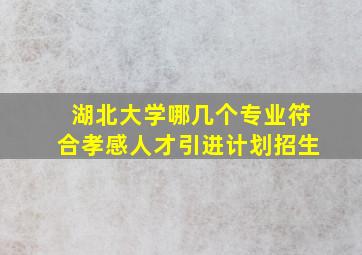 湖北大学哪几个专业符合孝感人才引进计划招生