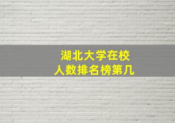 湖北大学在校人数排名榜第几