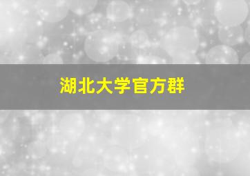 湖北大学官方群