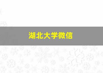 湖北大学微信