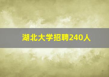 湖北大学招聘240人