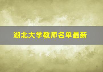 湖北大学教师名单最新