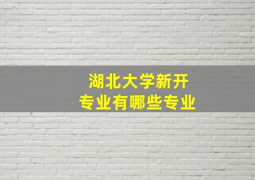 湖北大学新开专业有哪些专业