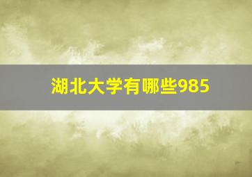 湖北大学有哪些985