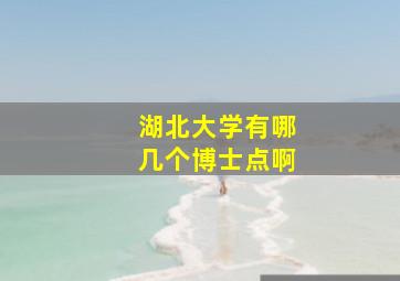 湖北大学有哪几个博士点啊