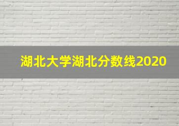 湖北大学湖北分数线2020