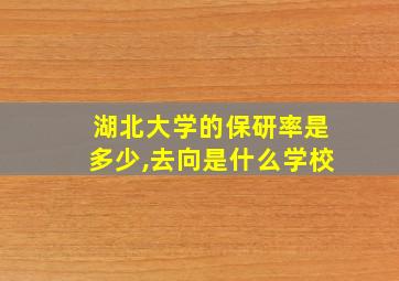 湖北大学的保研率是多少,去向是什么学校