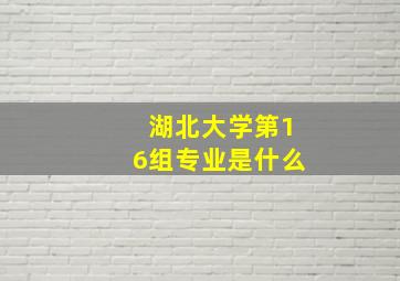 湖北大学第16组专业是什么