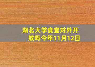 湖北大学食堂对外开放吗今年11月12日