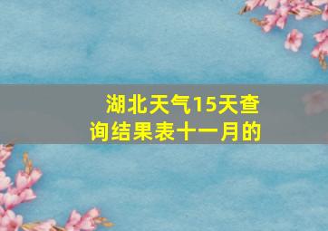 湖北天气15天查询结果表十一月的