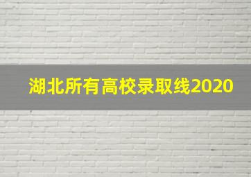 湖北所有高校录取线2020