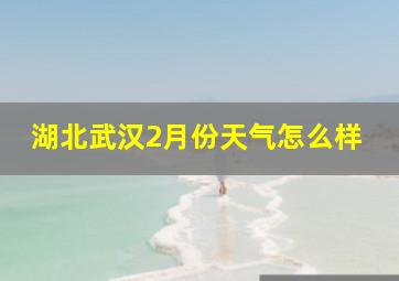 湖北武汉2月份天气怎么样