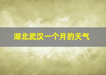 湖北武汉一个月的天气