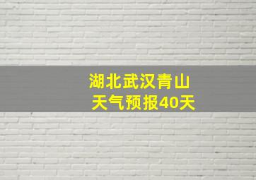 湖北武汉青山天气预报40天