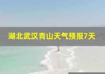 湖北武汉青山天气预报7天