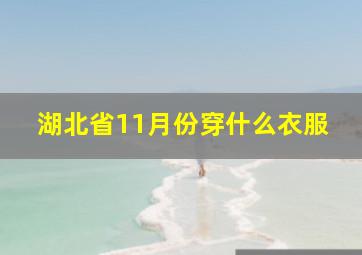 湖北省11月份穿什么衣服